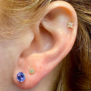 tanzanite and white gold earrings