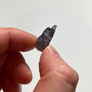 tanzanite crystal raw in hand for size