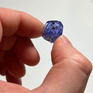 tanzanite crystal in hand for size