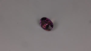 Oval Cut Natural Color Fancy Tanzanite 1.71 Carats