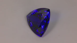 Violet Blue Trilliant  Tanzanite Gemstone 16.30cts