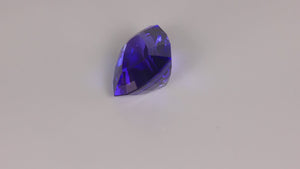 Step Shield Cut Tanzanite 9.66 Carats